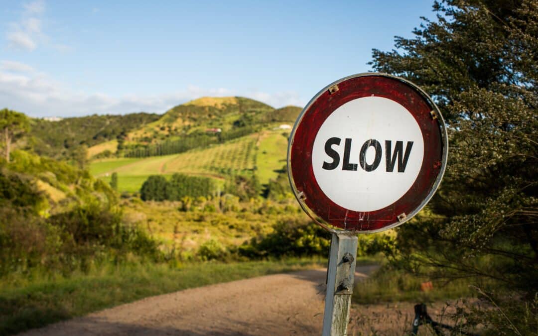 Financial Statements Audit: Common Management Habits That Slow Down the Audit Process
